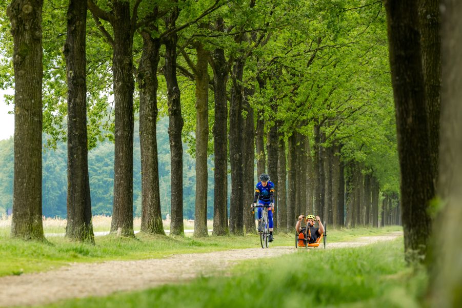 Handbike en wielrenner in het bos